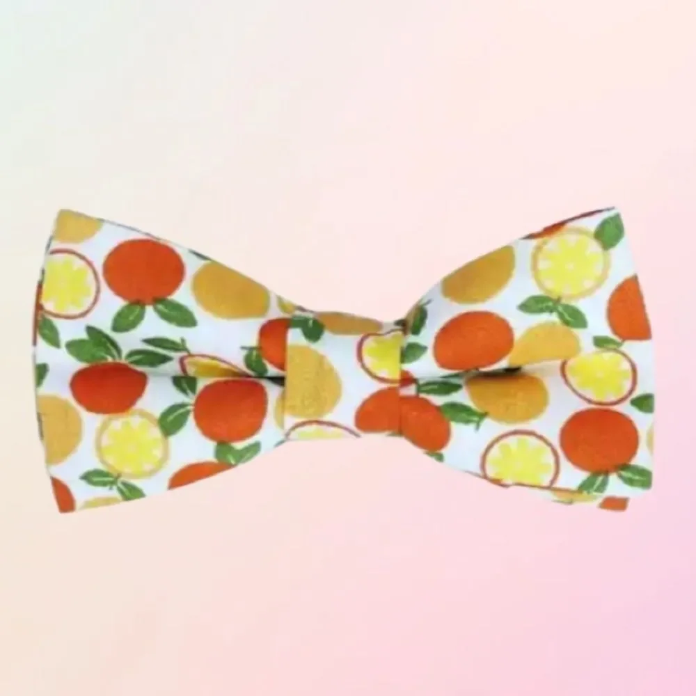 Trendy & Bright, Youth Adjustable Fruity Bow Tie, Assorted, One Size